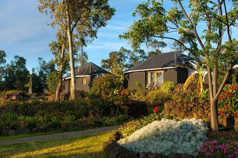 Altiplanico Rapa Nui Hotel Hanga Roa Luaran gambar